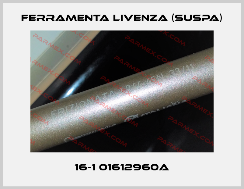 01612832 Resorte de gas de fricción Liftline Ferramenta Livenza (Suspa)