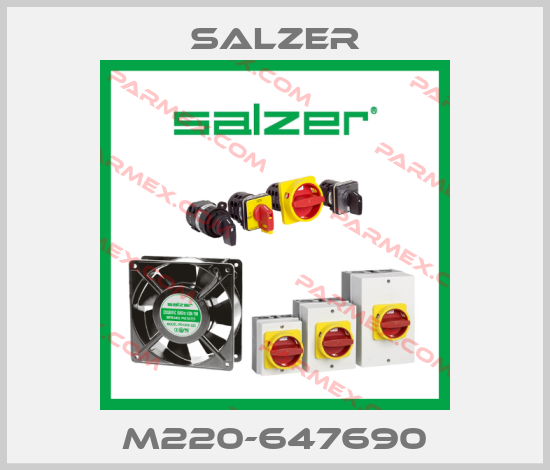 Original Salzer | Parmex Automatización SRL México
